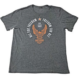 Harley-Davidson Houston TX Mancuso Crossroads Graphic T-Shirt Gray Men's
